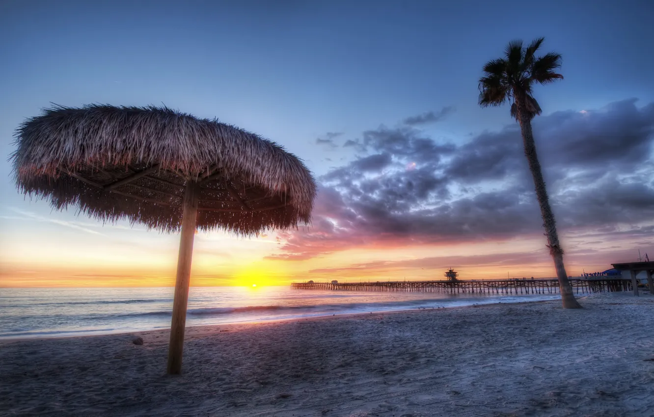 Фото обои пляж, закат, пальма, берег