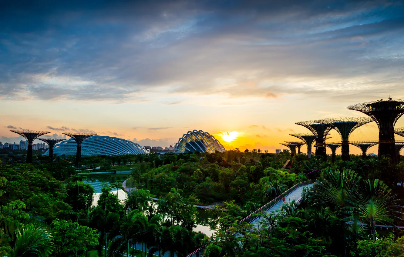 Фото обои деревья, мост, дизайн, парк, рассвет, сад, Сингапур, речка