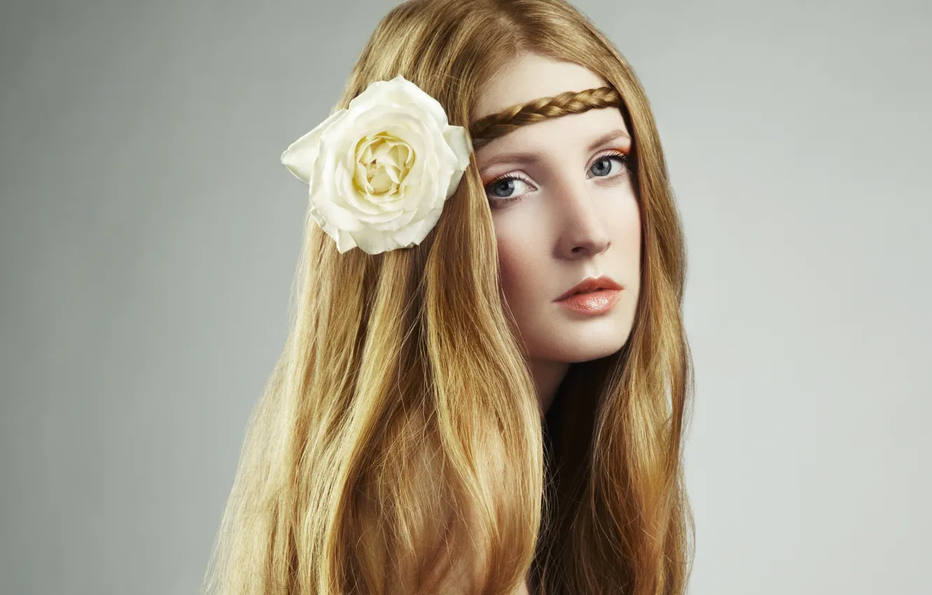 Фото обои цветок, взгляд, девушка, лицо, длинные волосы, косичка, белая роза