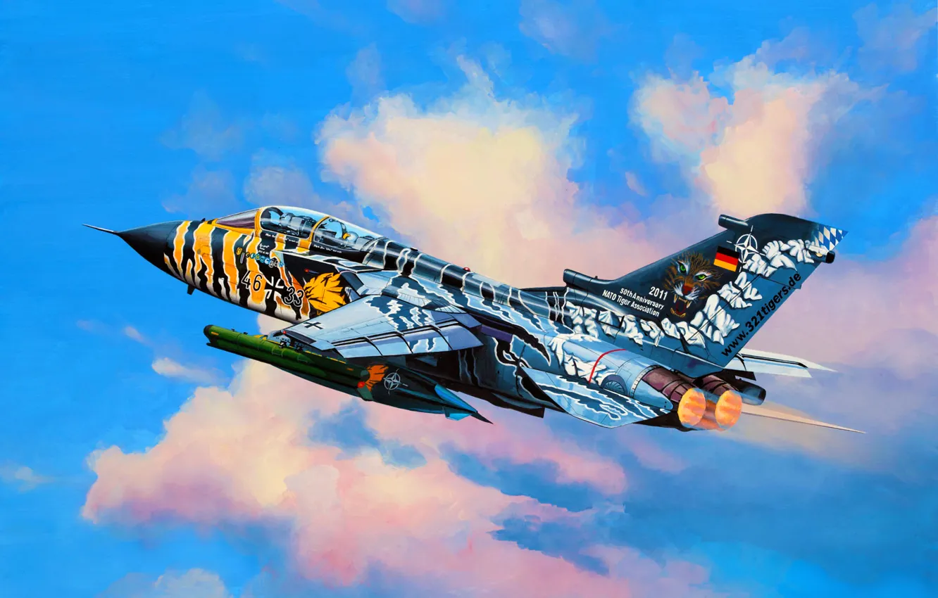 Фото обои art, painting, jet, Tigermeet 2011, Tornado ECR