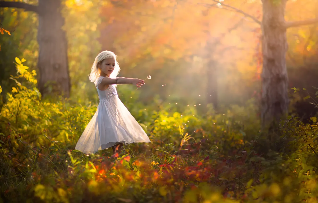 Фото обои осень, природа, одуванчик, платье, девочка