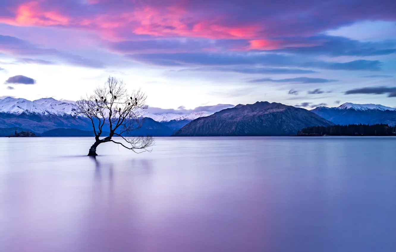 Фото обои горы, озеро, дерево, Новая Зеландия, водоем, Ванака