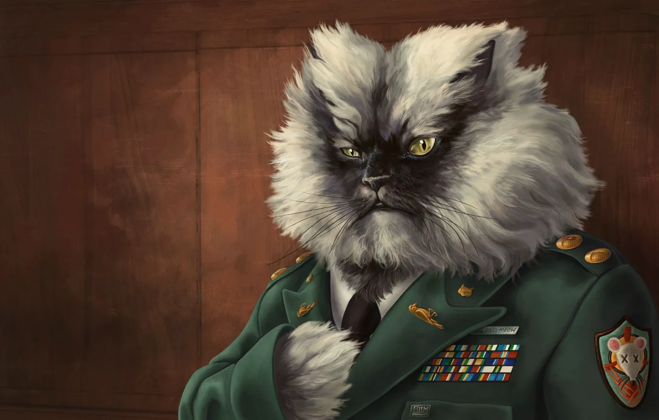 Фото обои кот, рисунок, награды, генерал, погоны