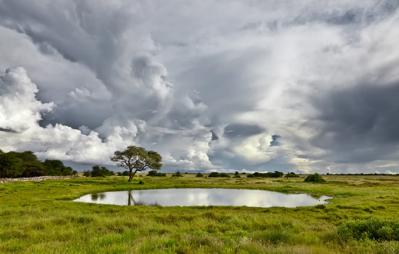 Фото обои Namibia, Okaukuejo, The Water Hole