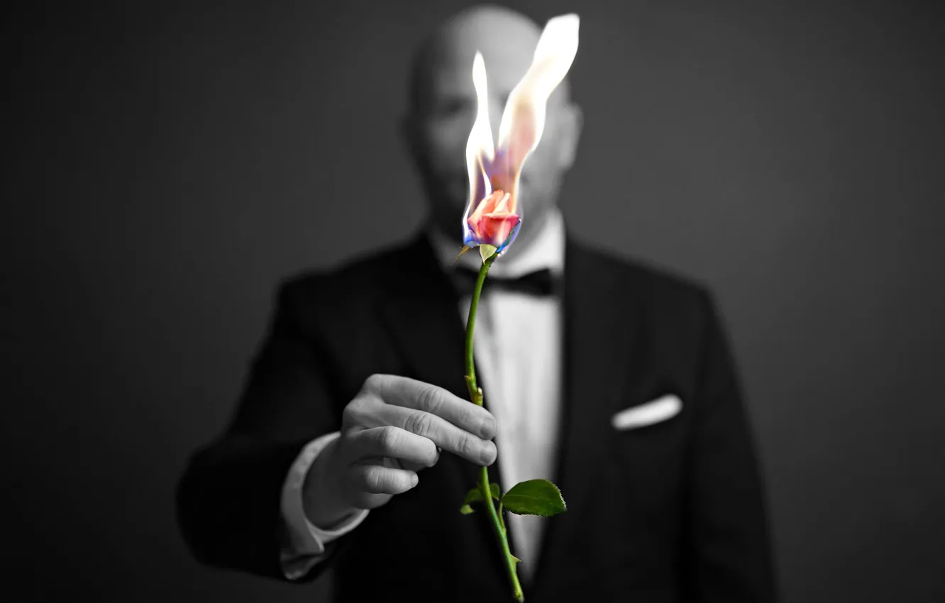 Фото обои огонь, роза, человек