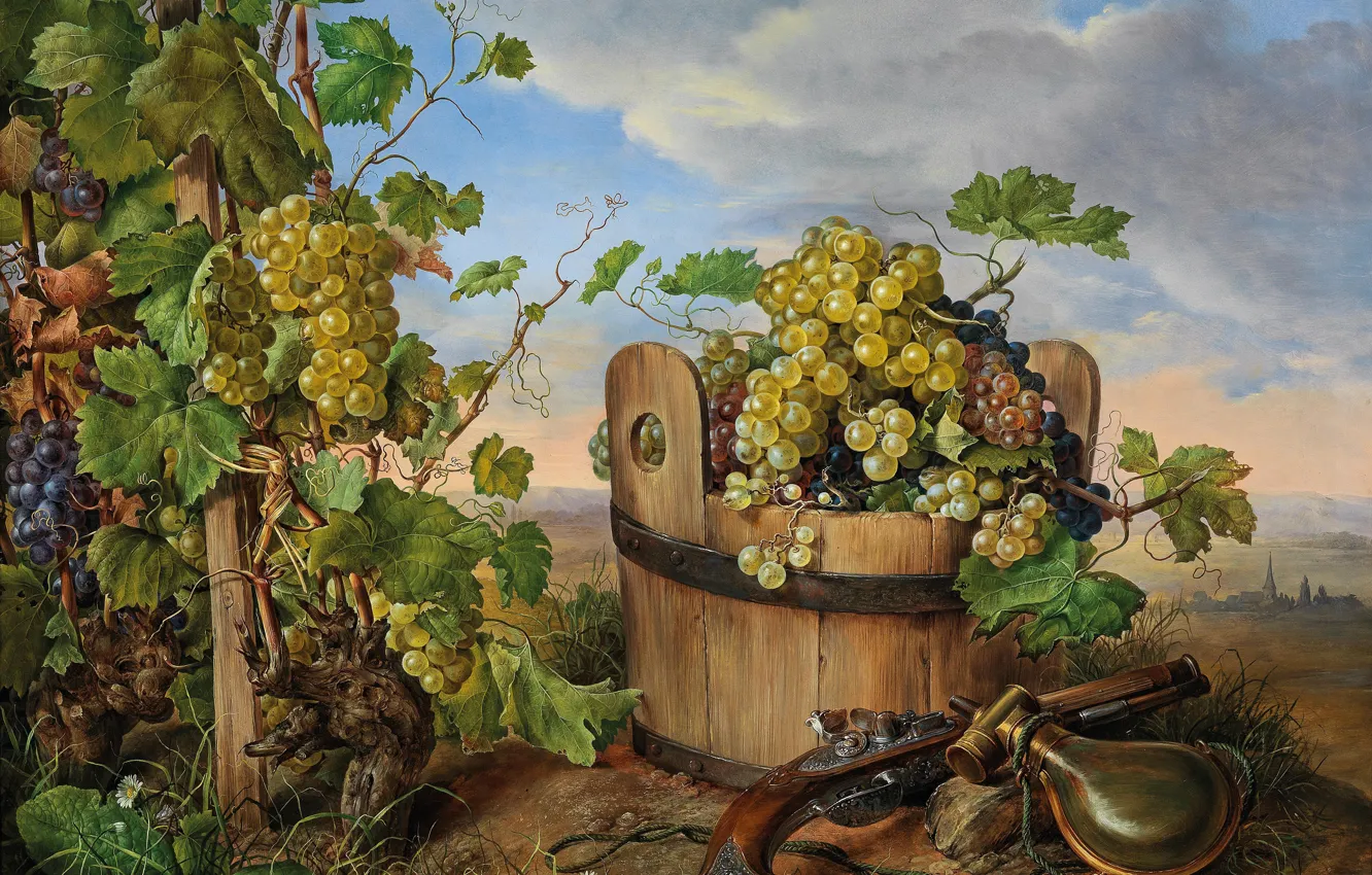 Фото обои виноград, натюрморт, кадка, Franz Xaver Petter