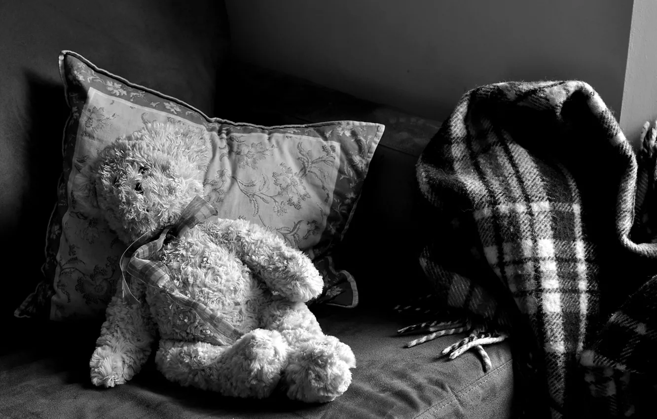 Фото обои медведь, подушка, плед, Teddy