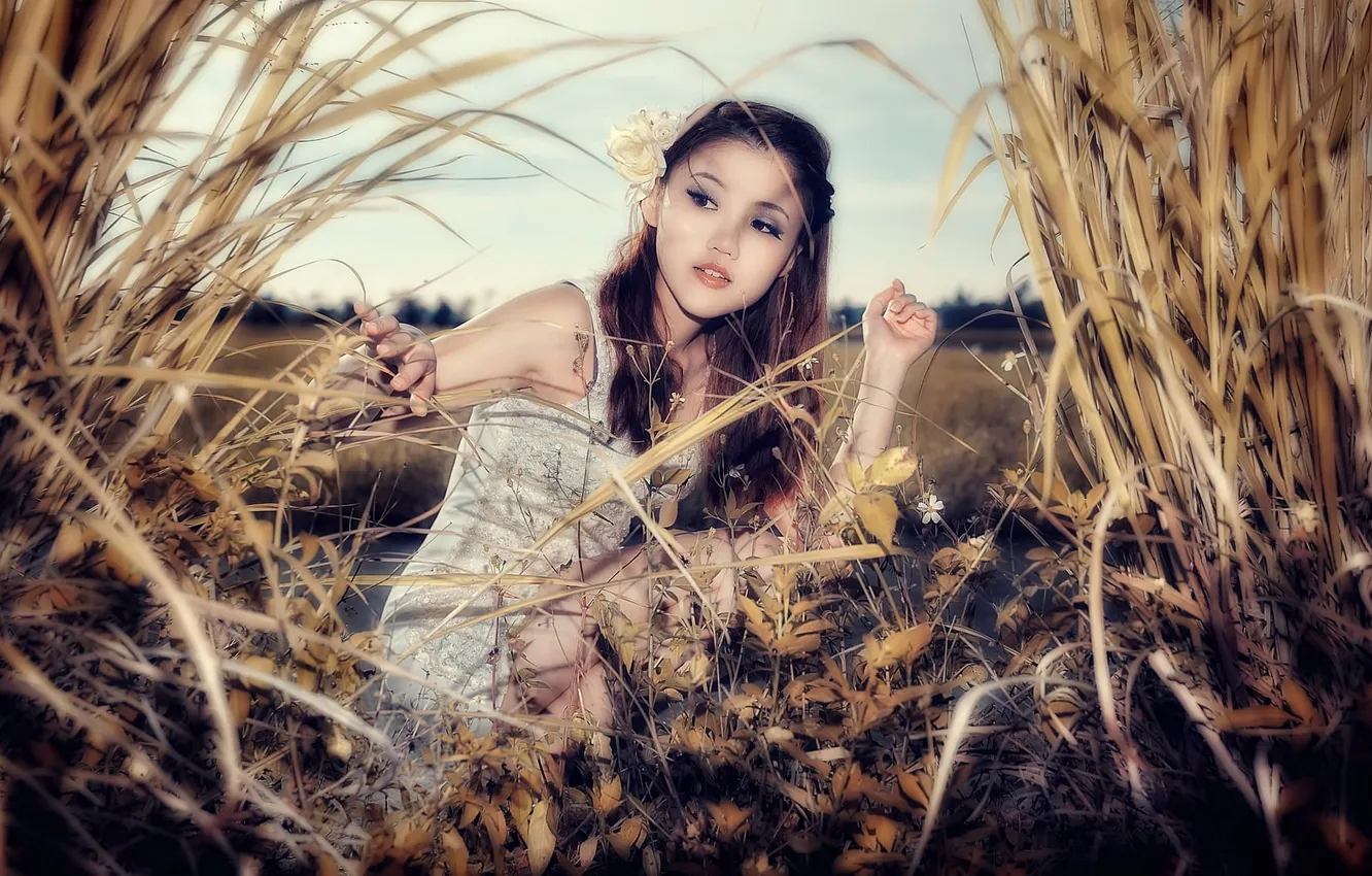 Фото обои wallpaper, girl, sexy, woman, model, china, asian, cute