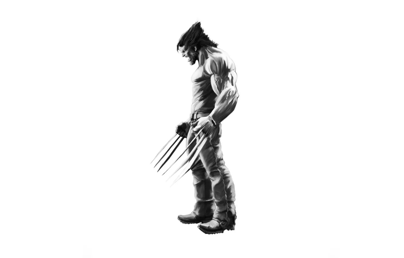 Фото обои Росомаха, Wolverine, супергерой