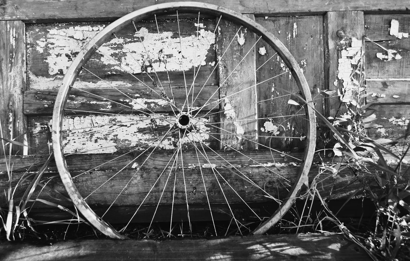 Фото обои metal, white, black, wood, bicycle wheel
