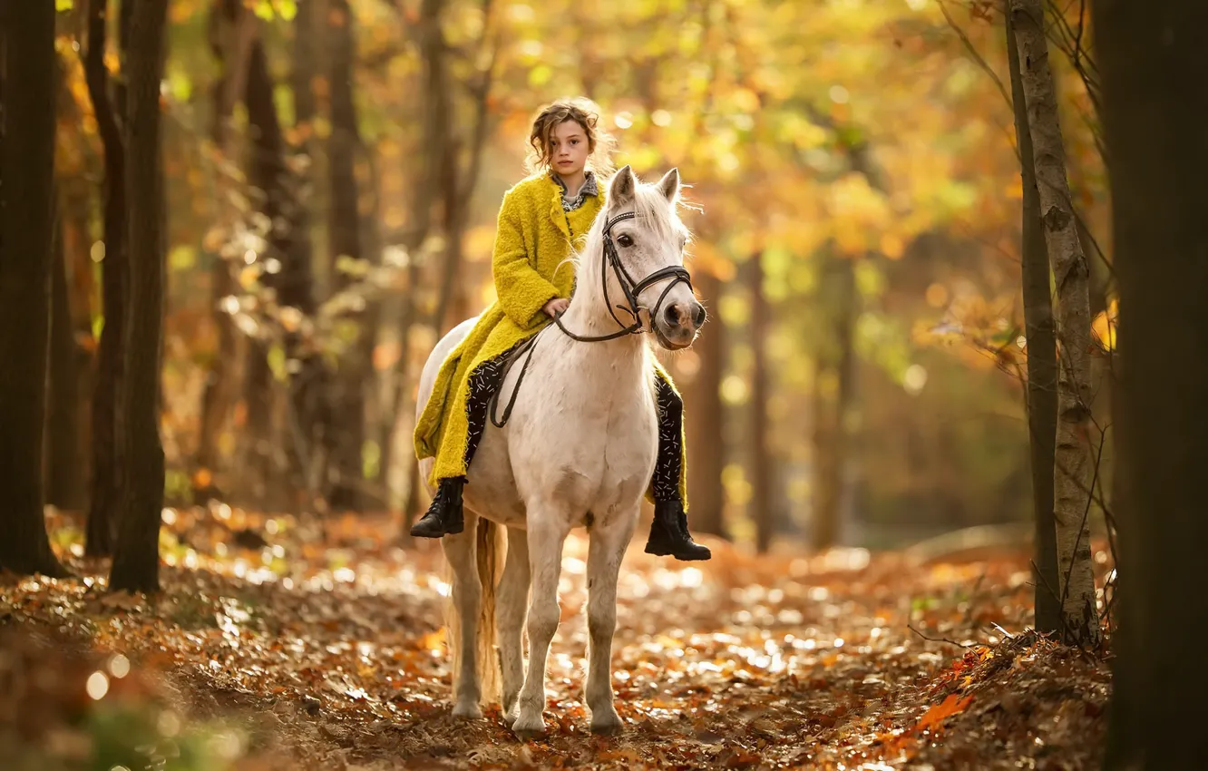 Фото обои осень, природа, конь, девочка