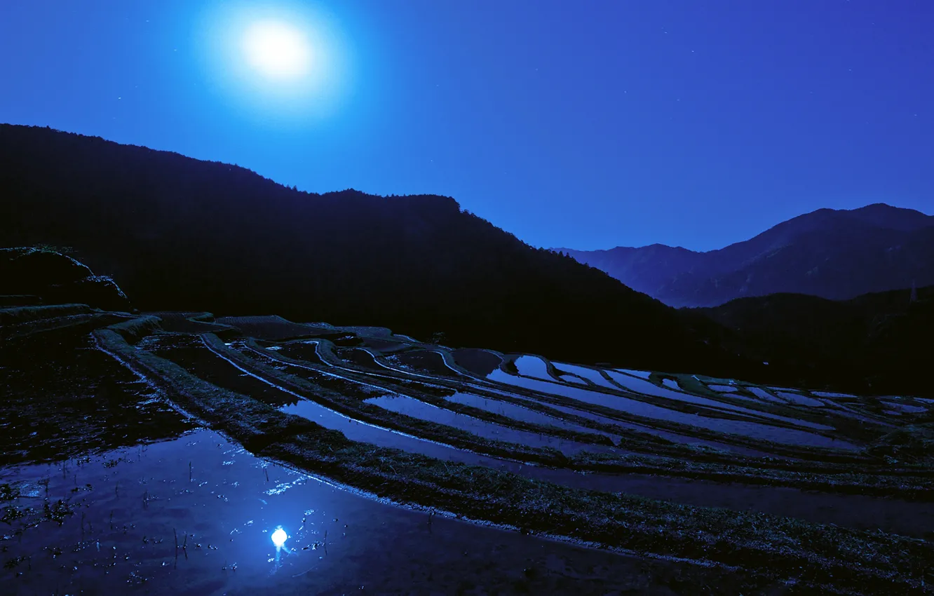 Фото обои ночь, луна, япония, Japan, Moon, рисовое поле