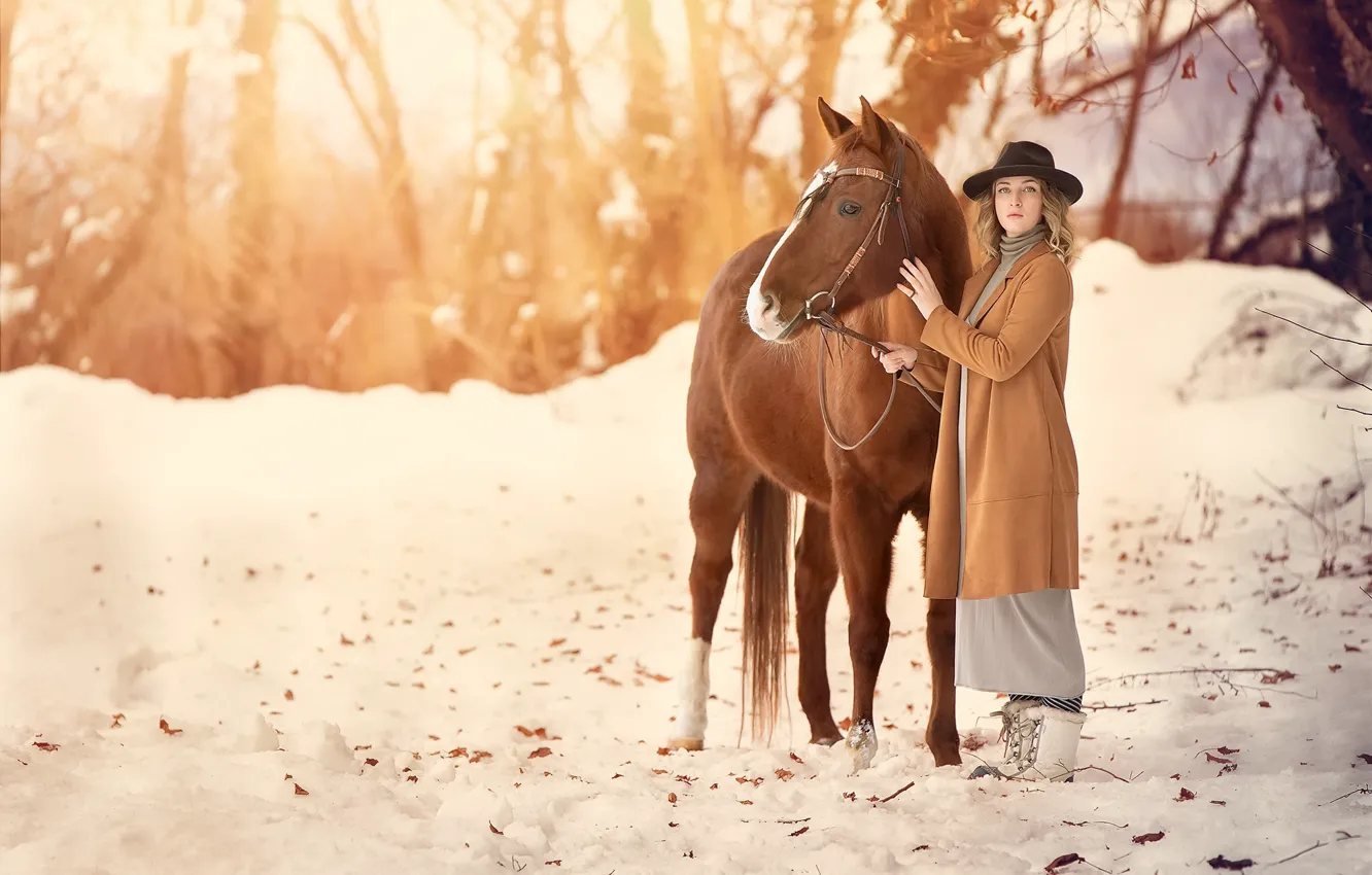 Фото обои зима, девушка, конь