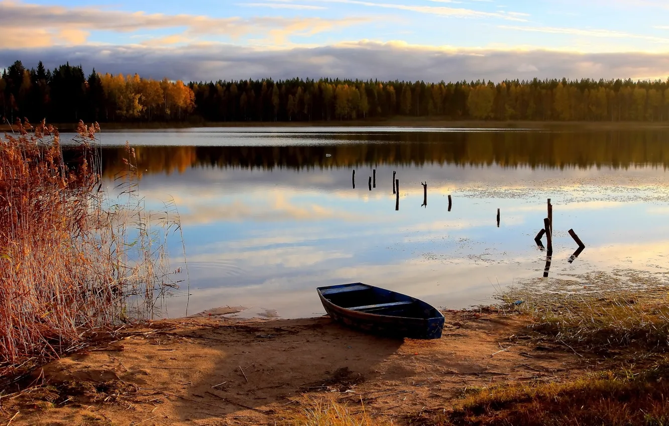 Фото обои осень, лес, река, лодка, old rowboat on a lake