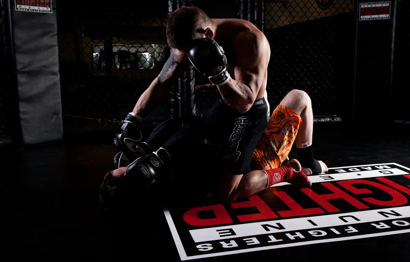 Фото обои muscles, mma, fighting, bjj, wrestling, cage