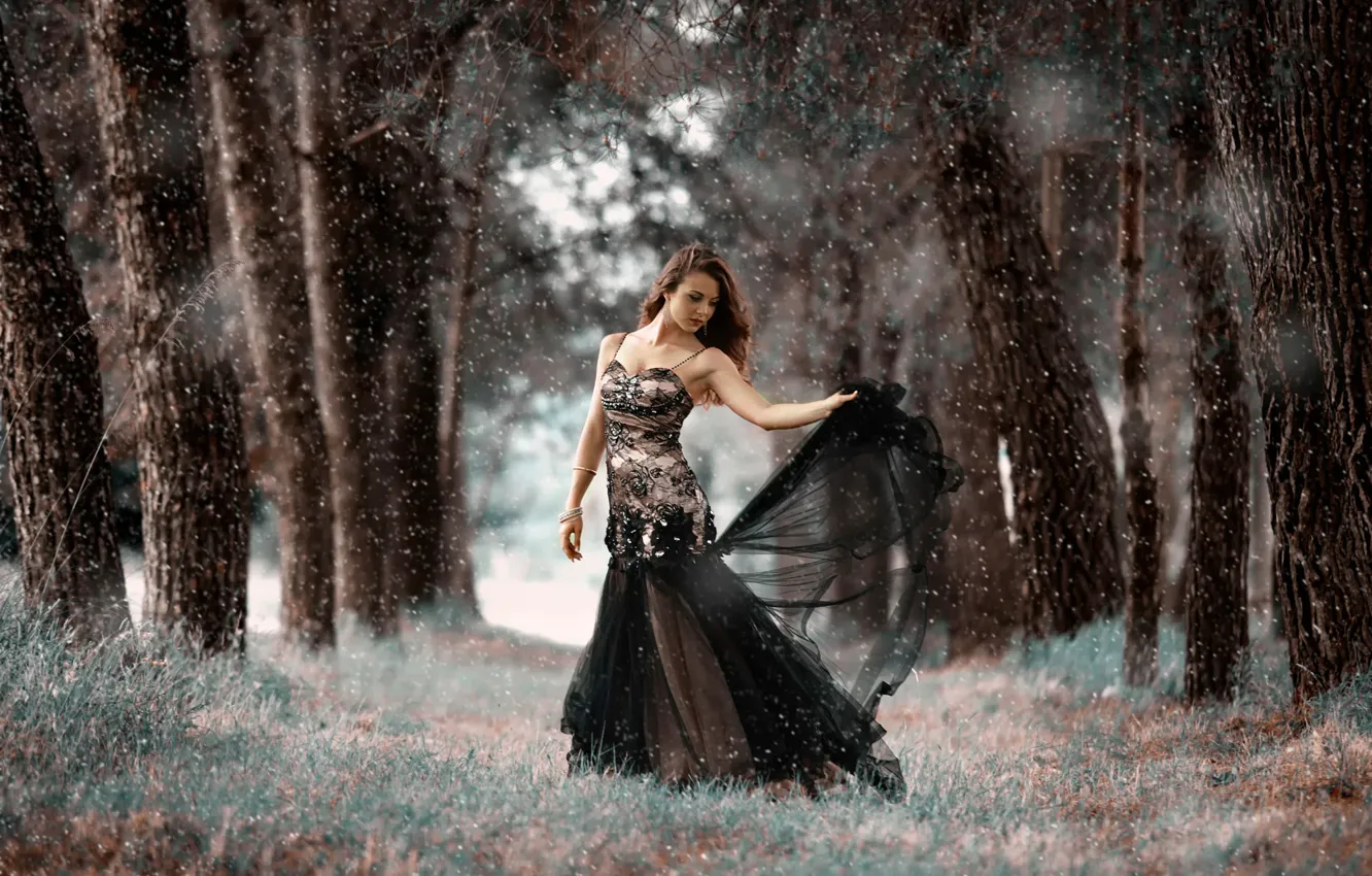 Фото обои лес, девушка, платье, взмах, The cold forest