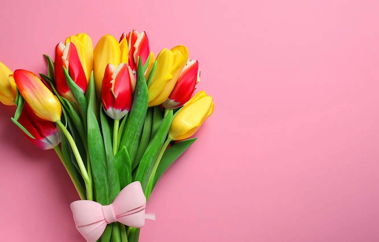 Фото обои цветы, букет, colorful, тюльпаны, flowers, tulips, spring
