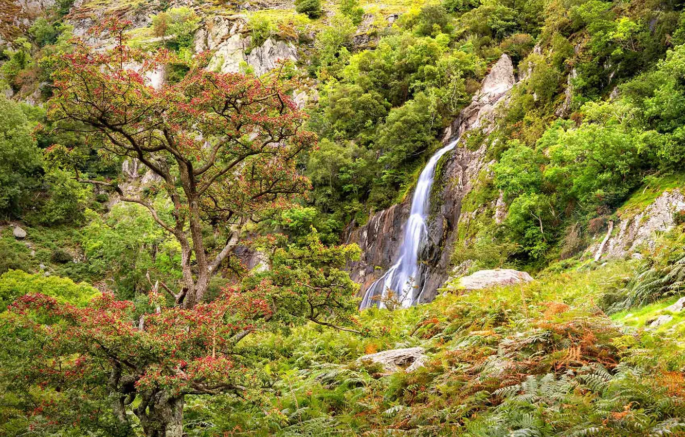 Фото обои водопад, Уэльс, Сноудония, Aber Falls