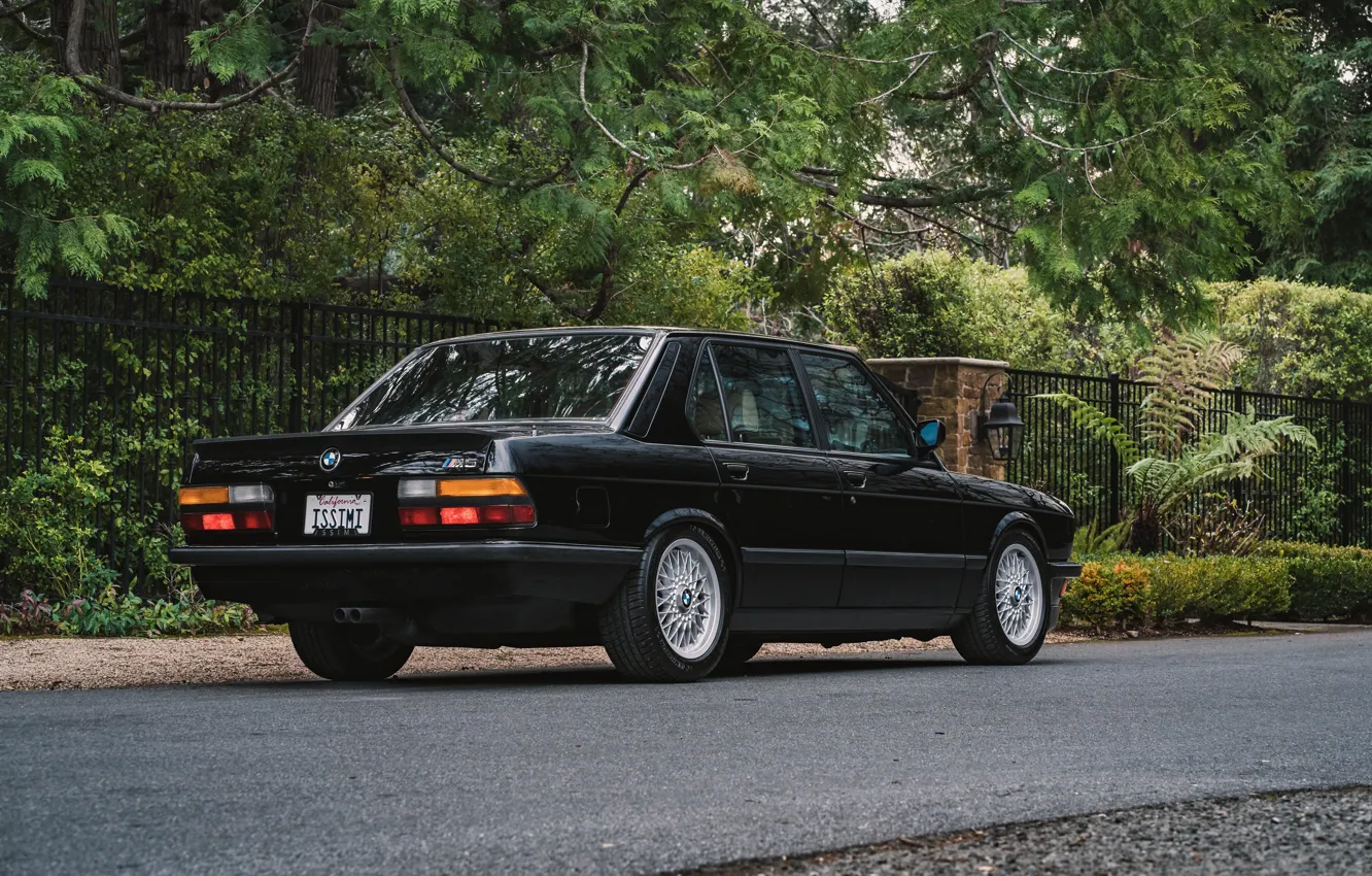 Фото обои BMW, E28, 1988, M5