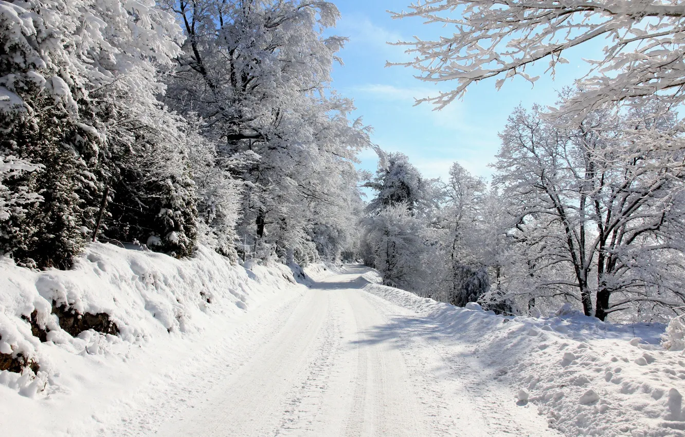 Фото обои дорога, снег, деревья, Зима