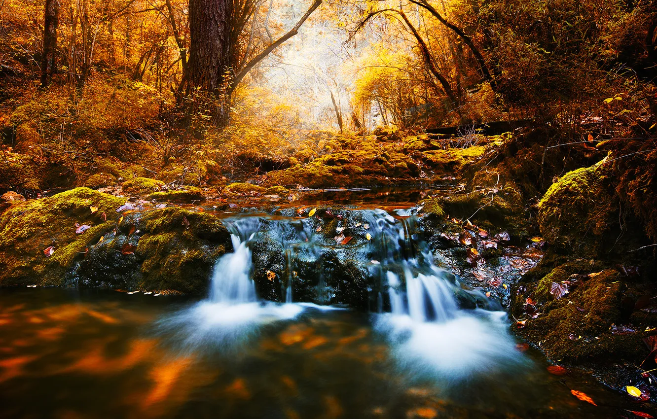 Фото обои Water, Autumn, Yellow, Rocks, Trees, Long, Brook, Stream