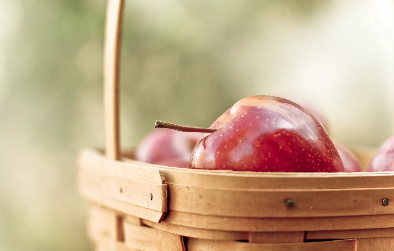 Фото обои обои, корзина, яблоки, фрукты, витамины, wallpapers