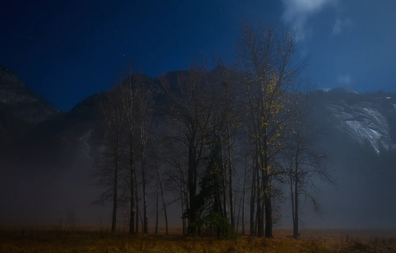 Фото обои небо, звезды, деревья, горы, ночь, туман