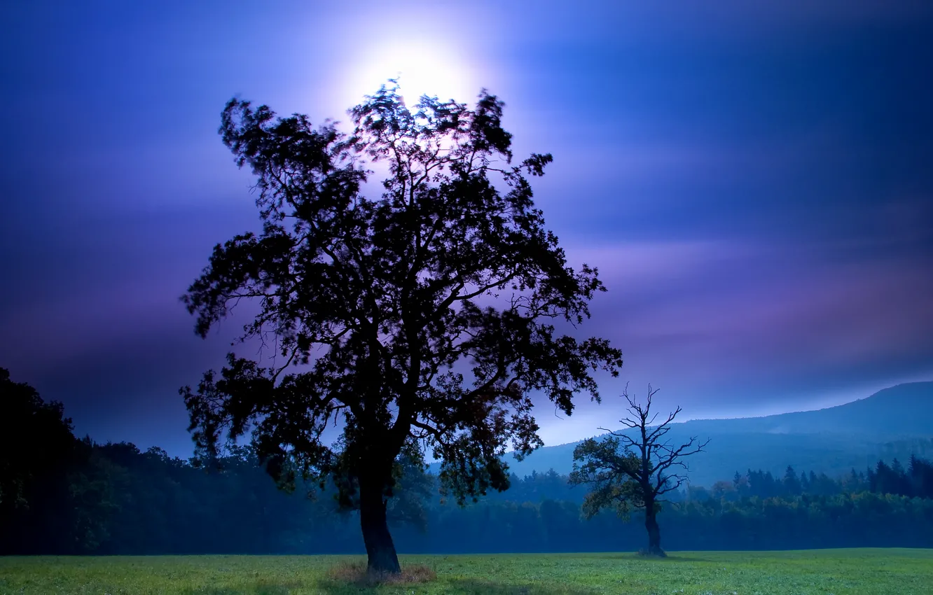 Фото обои небо, горы, ночь, дерево, луна, силуэт, moon, Nature