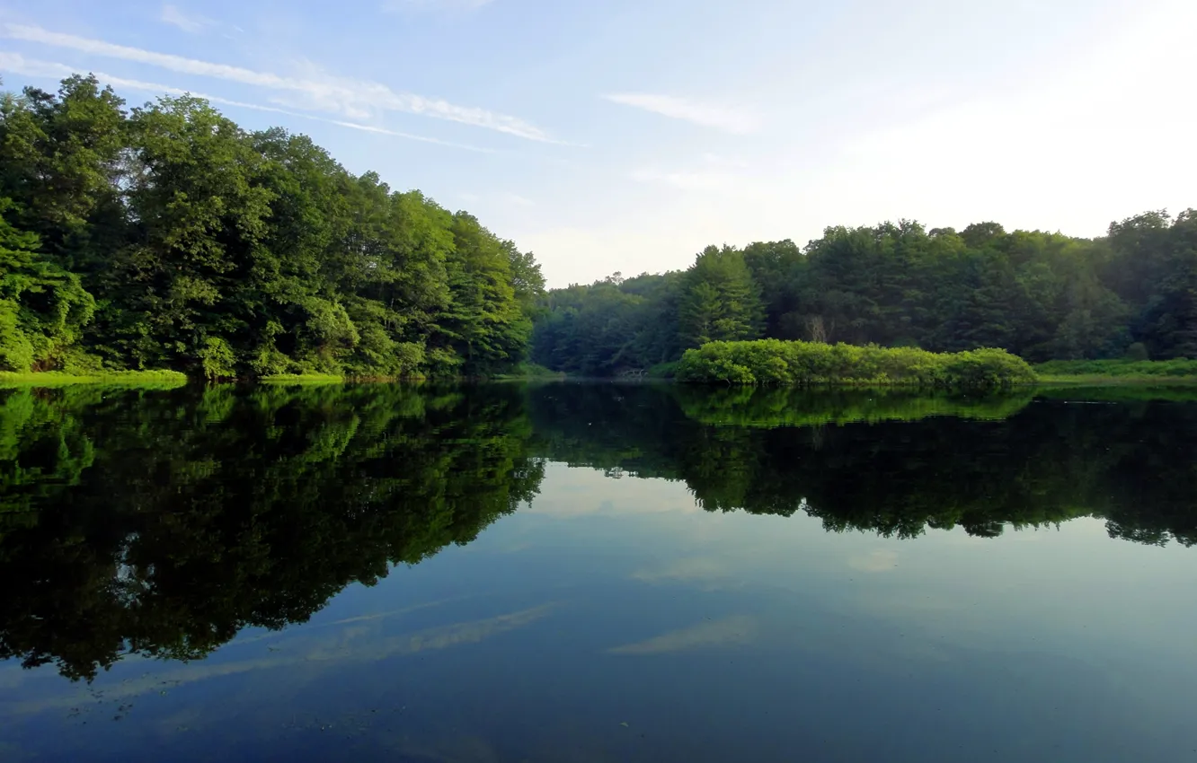 Фото обои зелень, вода, деревья, озеро, гладь, отражение