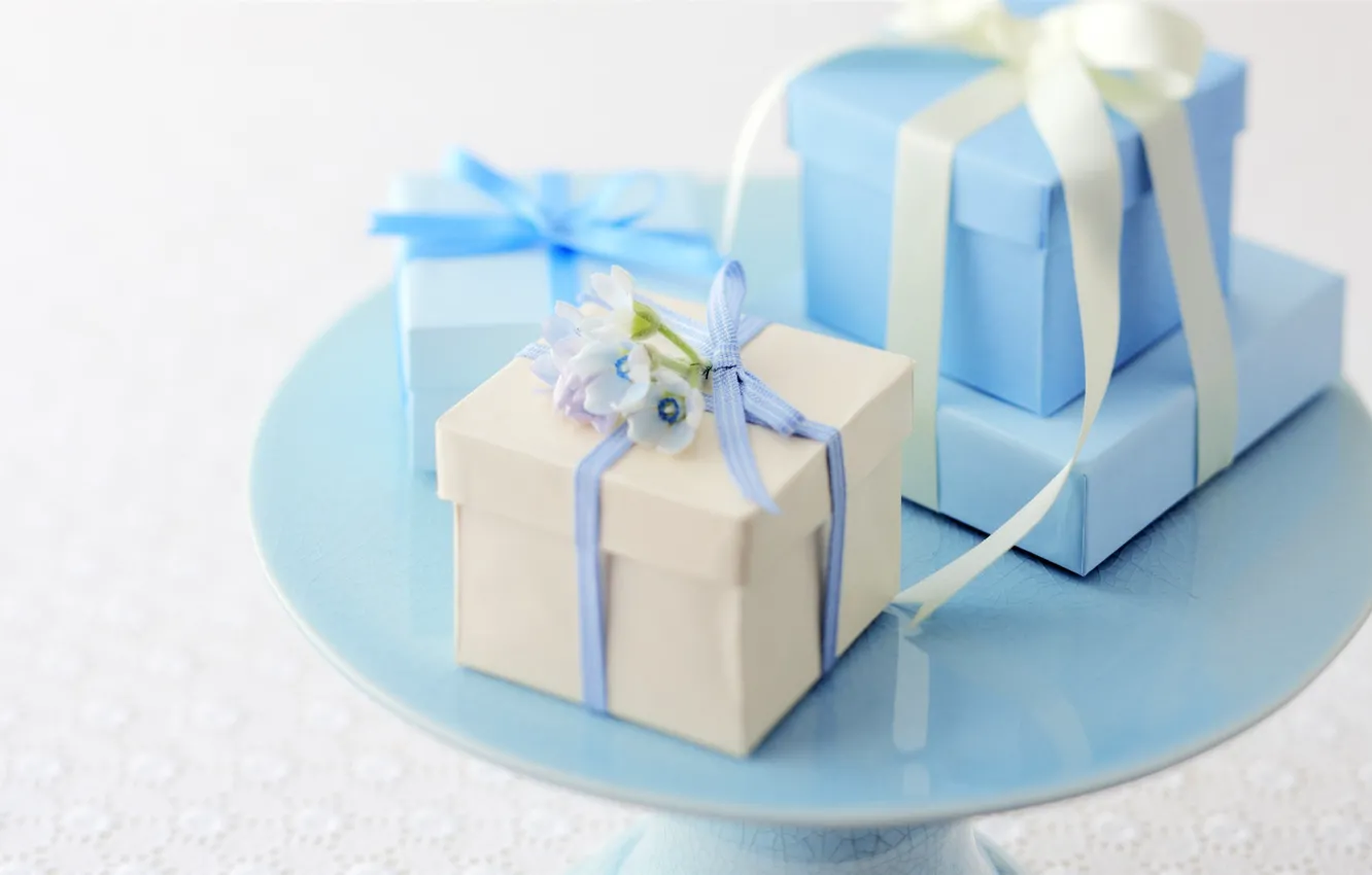 Фото обои белый, цветы, ленты, голубой, подарки, коробки