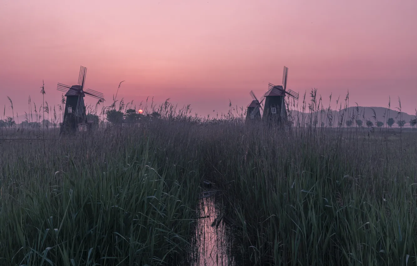 Фото обои трава, закат, рассвет, водоем, ветряные мельницы