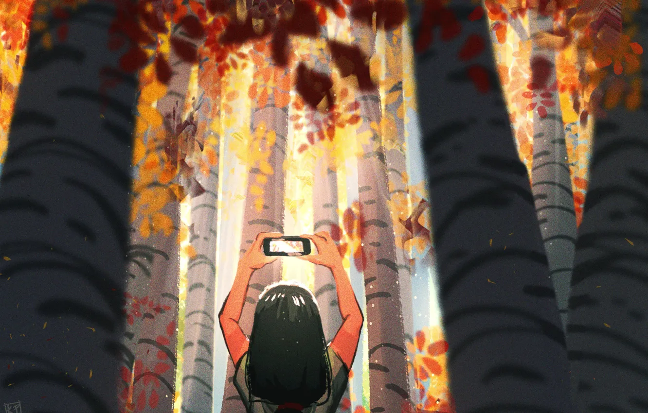 Фото обои спина, руки, девочка, фотографирующая, смартфон, осенние деревья, стволы берез