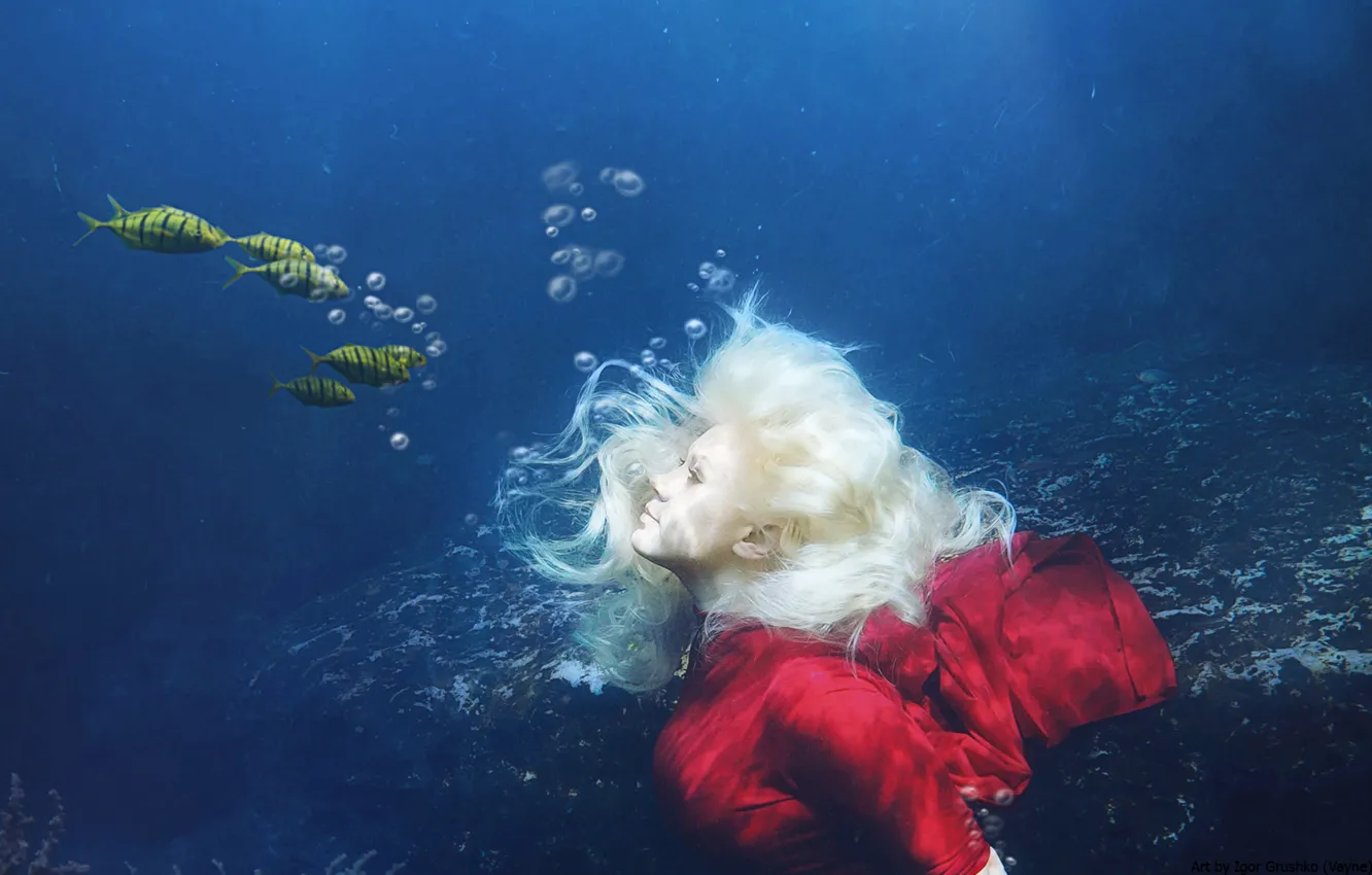 Фото обои море, вода, девушка, рыбы, под водой, фотоарт