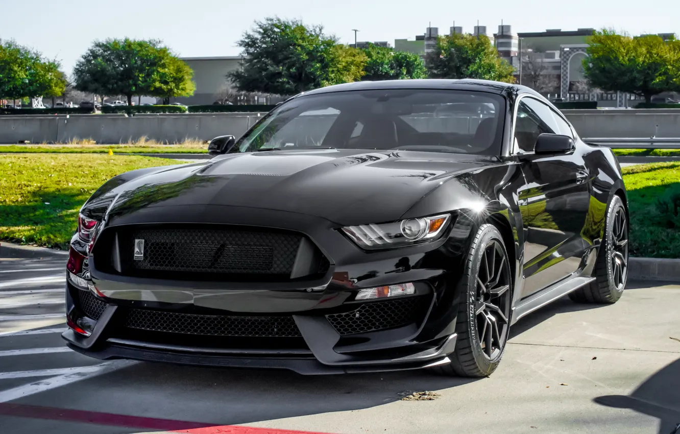 Фото обои Mustang, Ford, Shelby, Black, GT350