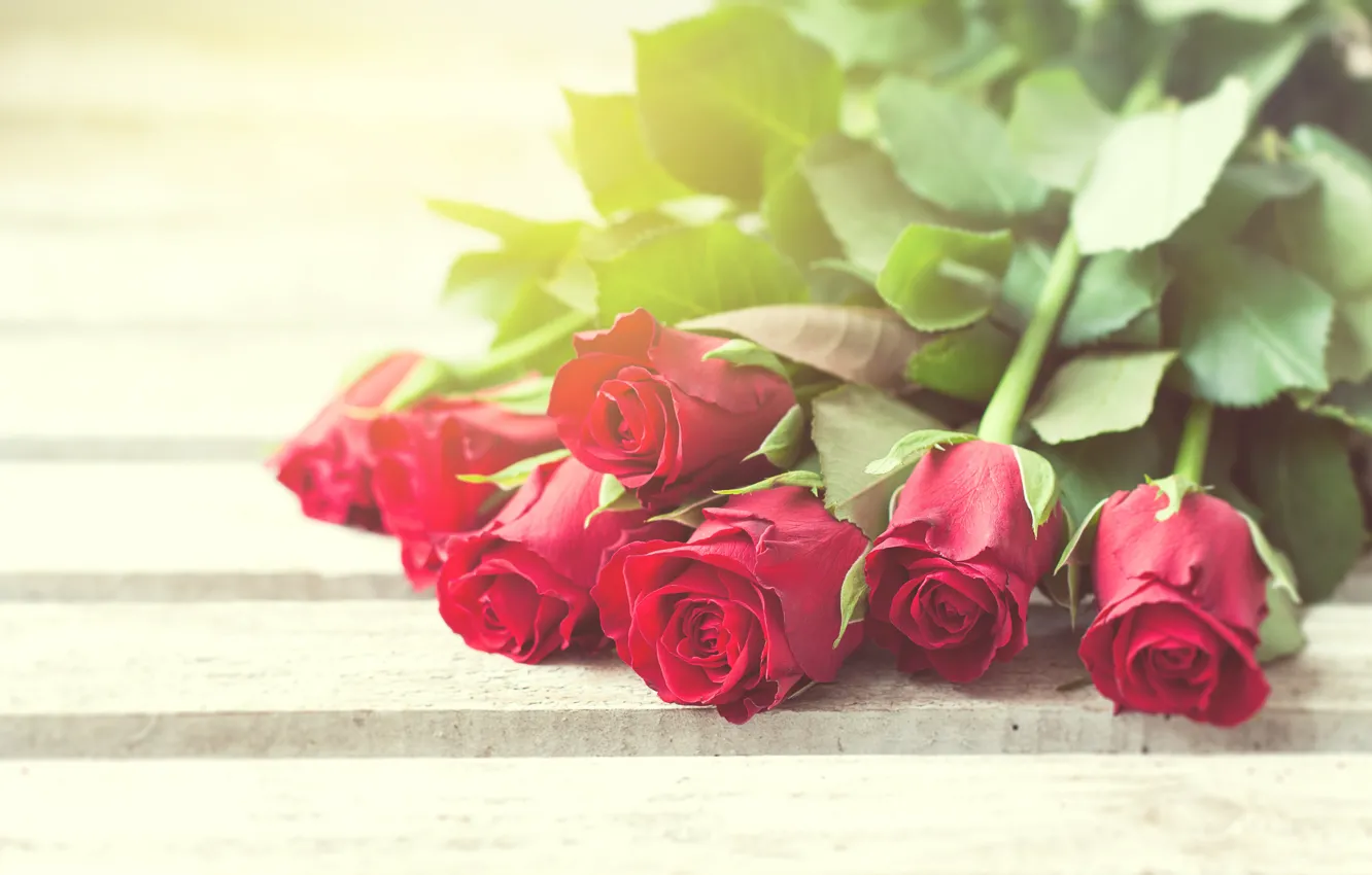 Фото обои розы, red, love, бутоны, flowers, romantic, roses, красные розы