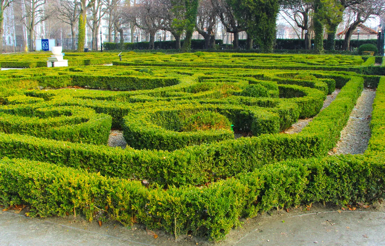 Фото обои park, garden, plant, hedge