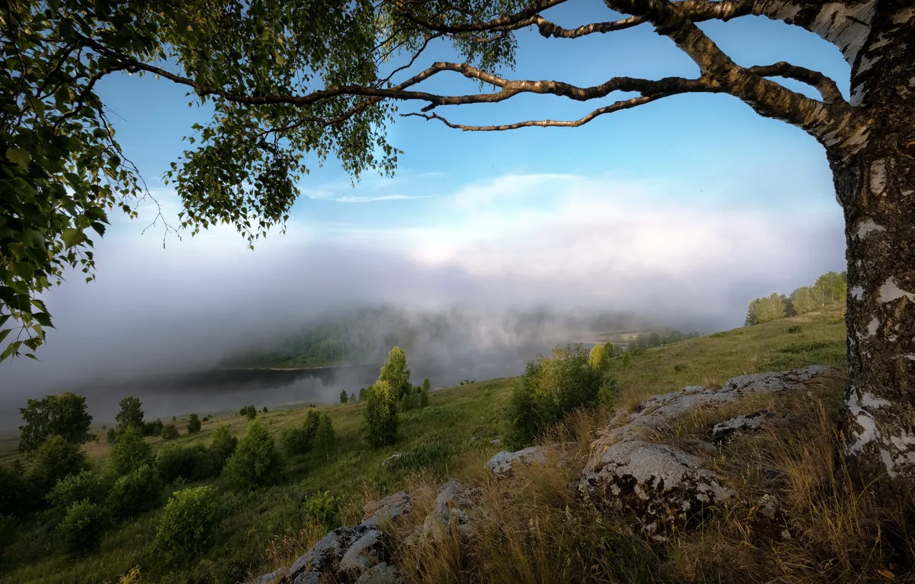 Фото обои облака, пейзаж, природа, туман, река, камни, дерево, склон