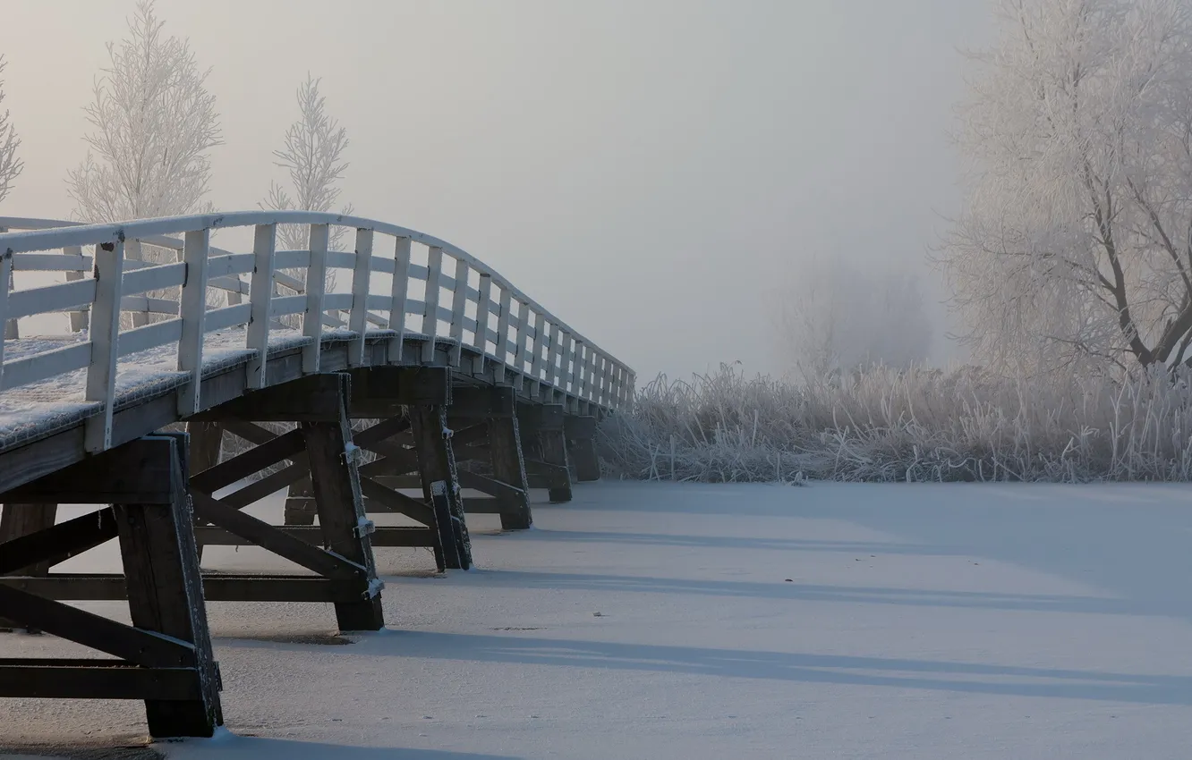 Фото обои зима, снег, мост, туман, река