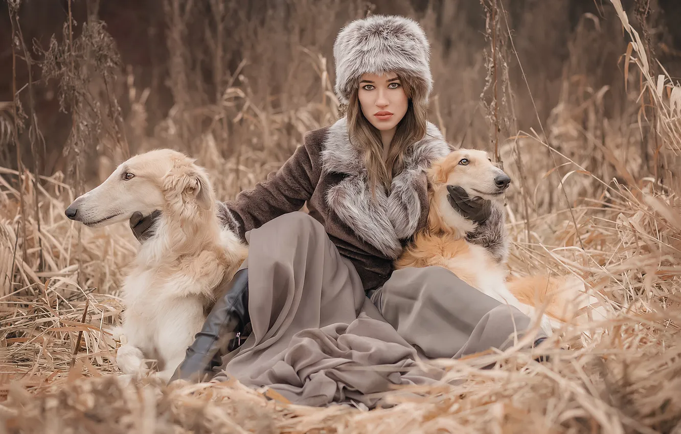 Фото обои осень, собаки, девушка, поза, стебли, поляна, шапка, фэнтези