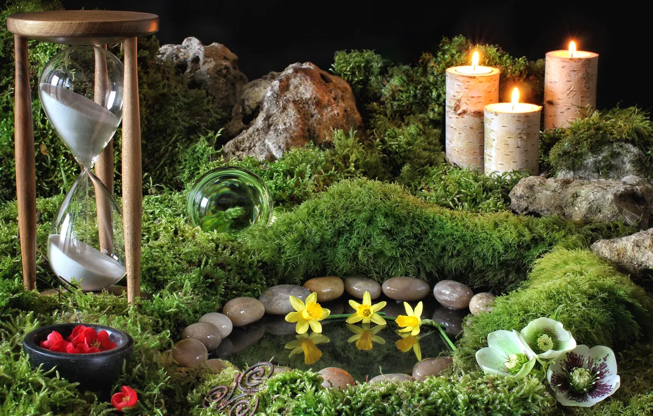Фото обои камни, часы, мох, свечи, нарцисс, морозник, гелеборус