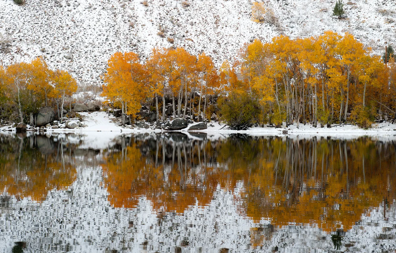 Фото обои осень, снег, деревья, озеро, отражение, склон