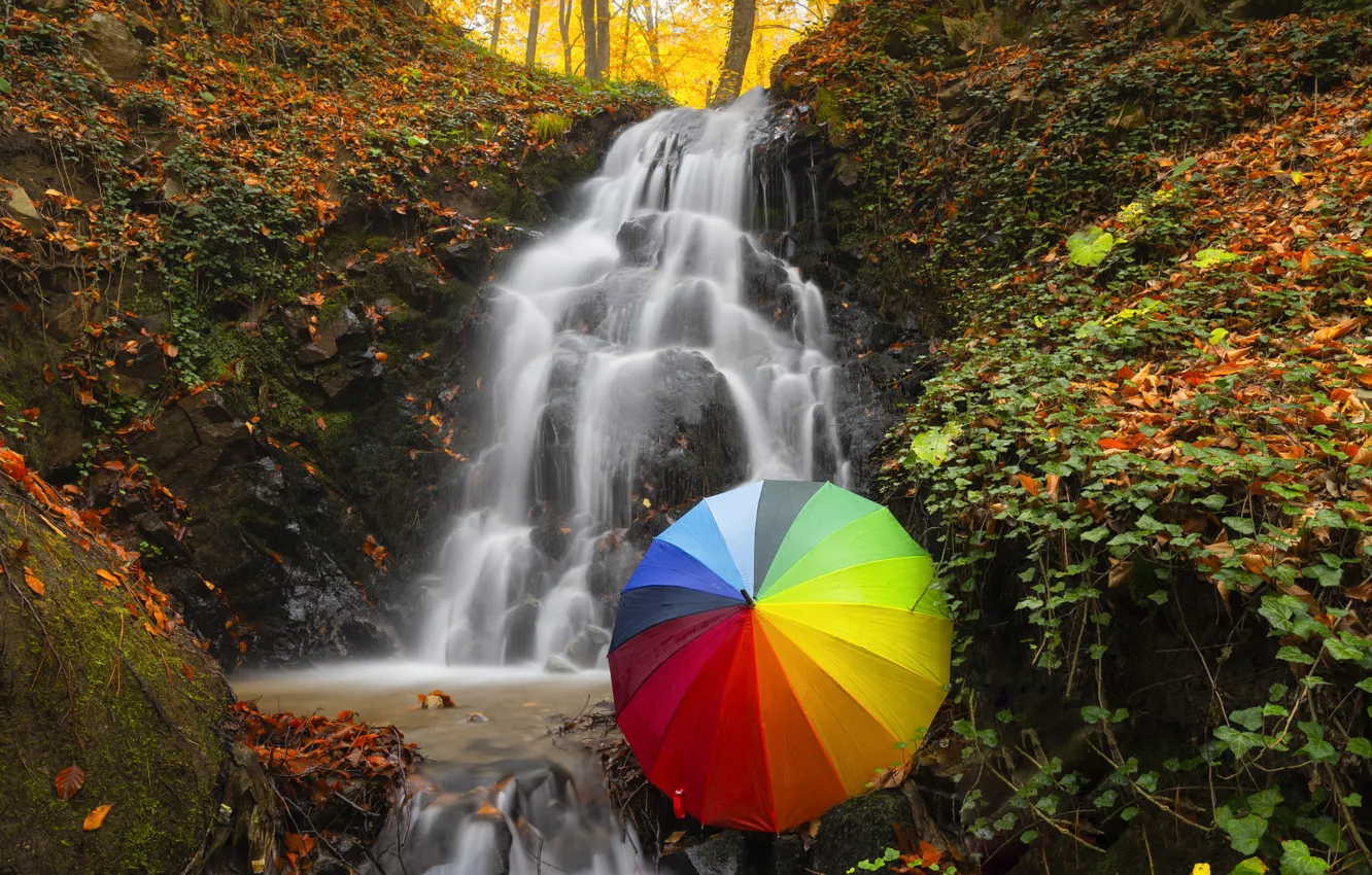 Фото обои осень, лес, камни, скалы, берег, водопад, радуга, поток