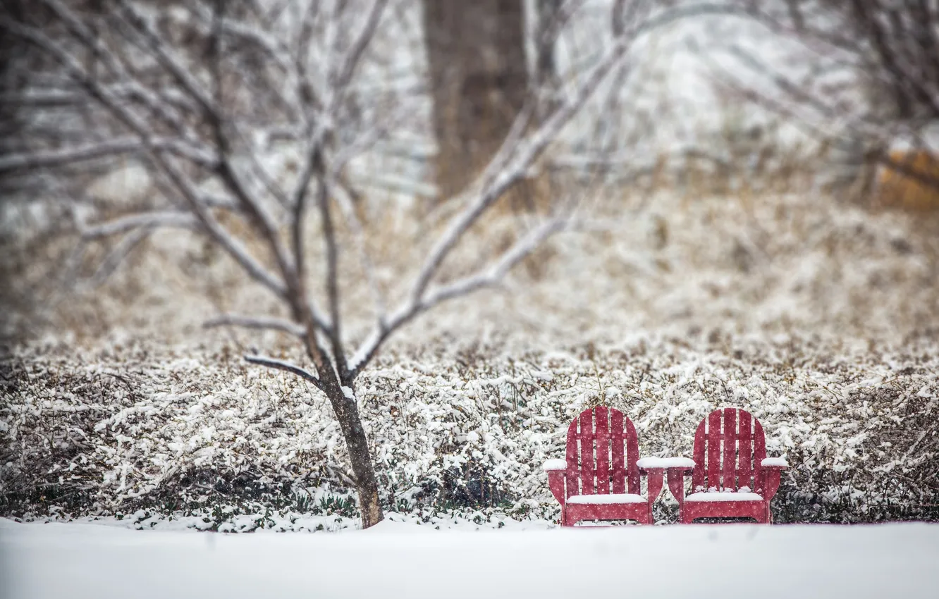 Фото обои зима, снег, дерево, стулья, боке