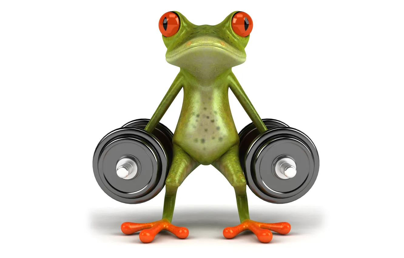 Фото обои спорт, графика, лягушка, гантеля, free frog