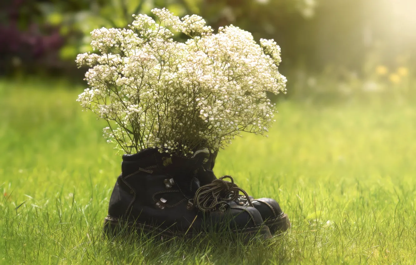Фото обои grass, field, flowers, boots, sunny