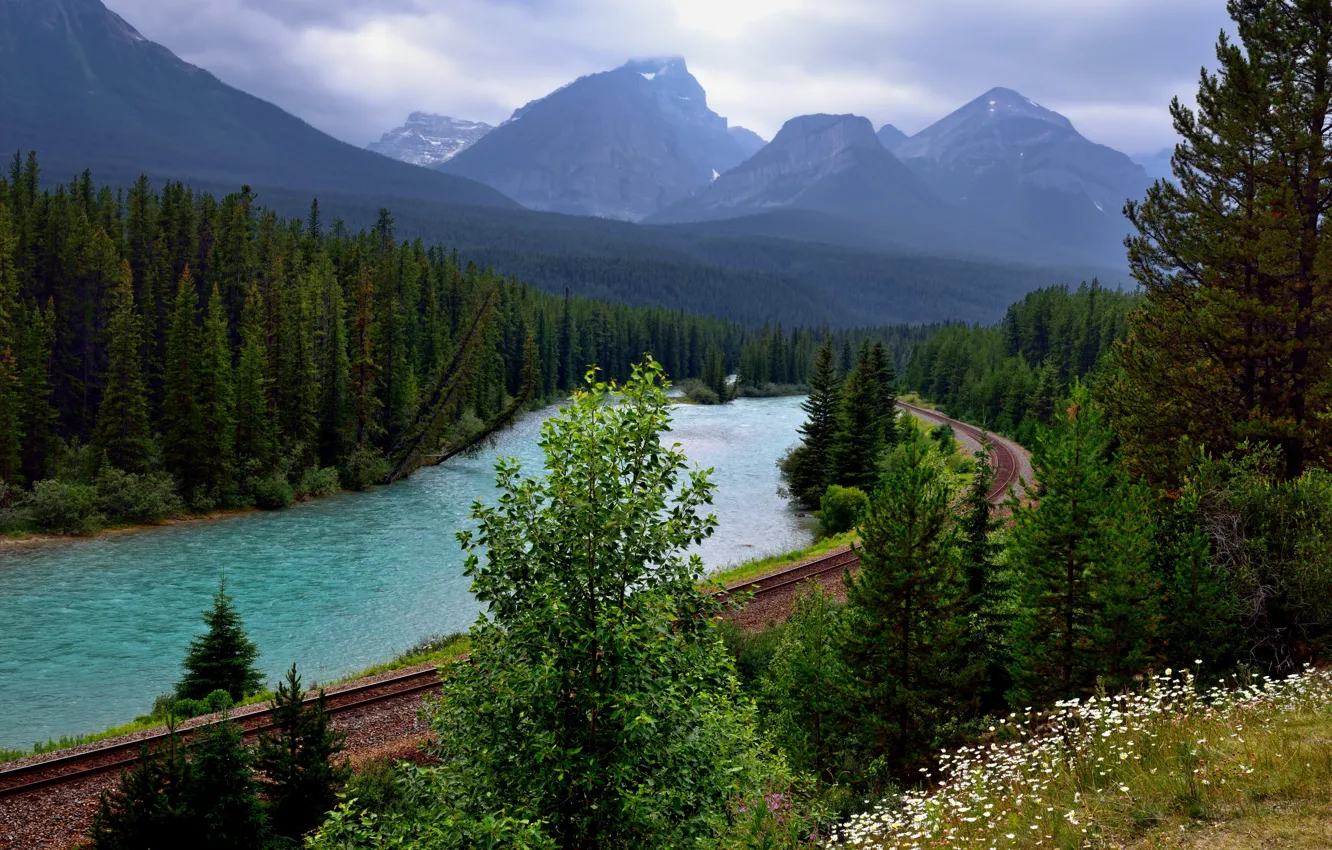 Фото обои лес, деревья, горы, река, Канада, железная дорога, Банф, Bow river