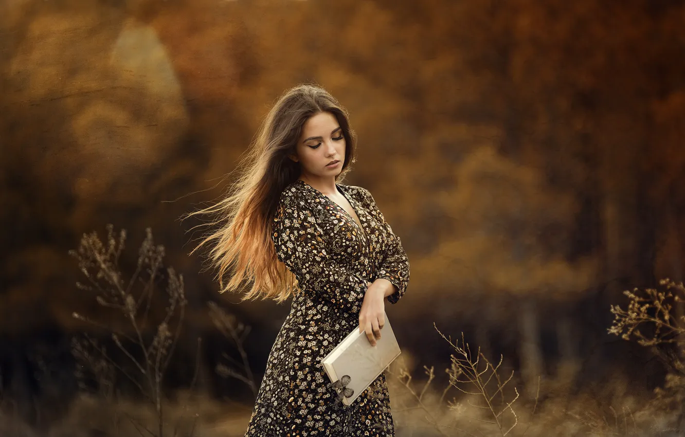 Фото обои осень, девушка, природа, бабочка, платье, книга