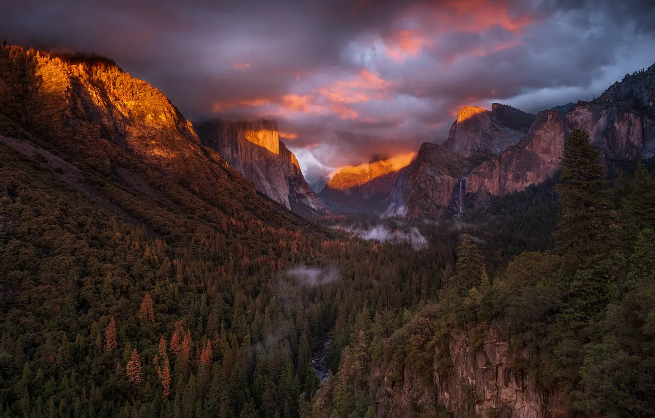 Фото обои лес, небо, горы, краски, США