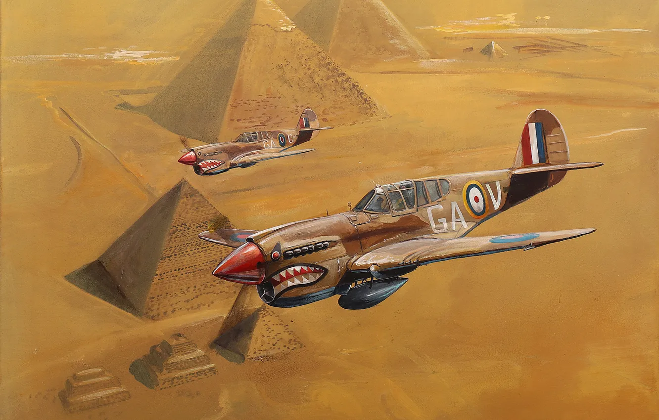 Фото обои P-40 Kittyhawk, Военная авиация, Поршневой истребитель, P-40E Warhawk, Пирамиды в Египте
