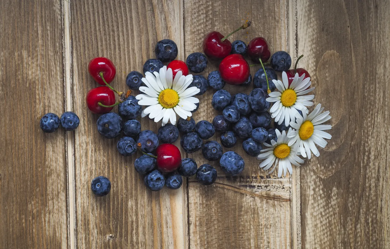 Фото обои ромашки, черника, wood, blueberries, cherries, chamomiles
